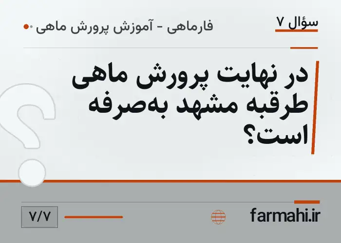 در نهایت پرورش ماهی طرقبه مشهد به‌صرفه است؟