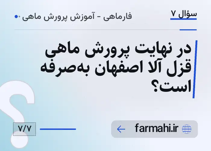 در نهایت پرورش ماهی قزل آلا اصفهان به‌صرفه است؟