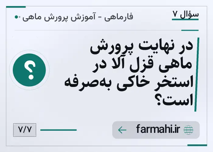 در نهایت پرورش ماهی قزل آلا در استخر خاکی به‌صرفه است؟