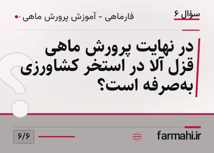 در نهایت پرورش ماهی قزل آلا در استخر کشاورزی به‌صرفه است؟