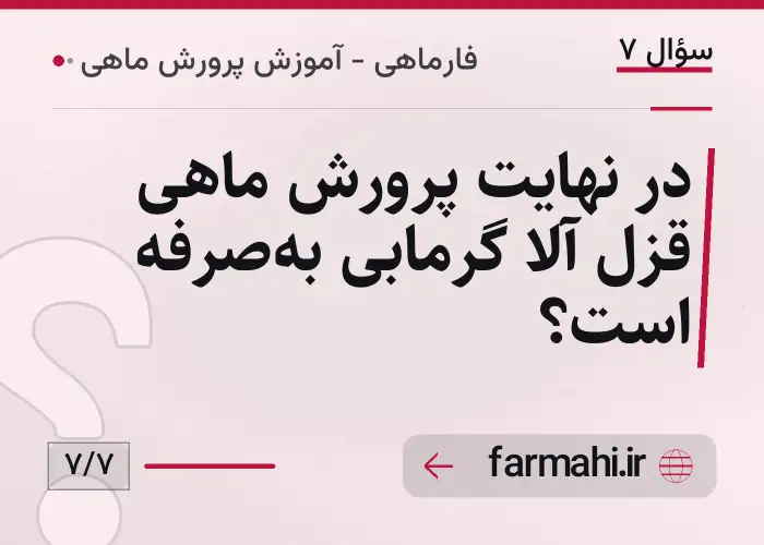 در نهایت پرورش ماهی قزل آلا گرمابی به‌صرفه است؟