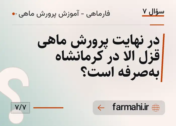 در نهایت پرورش ماهی قزل الا در کرمانشاه به‌صرفه است؟