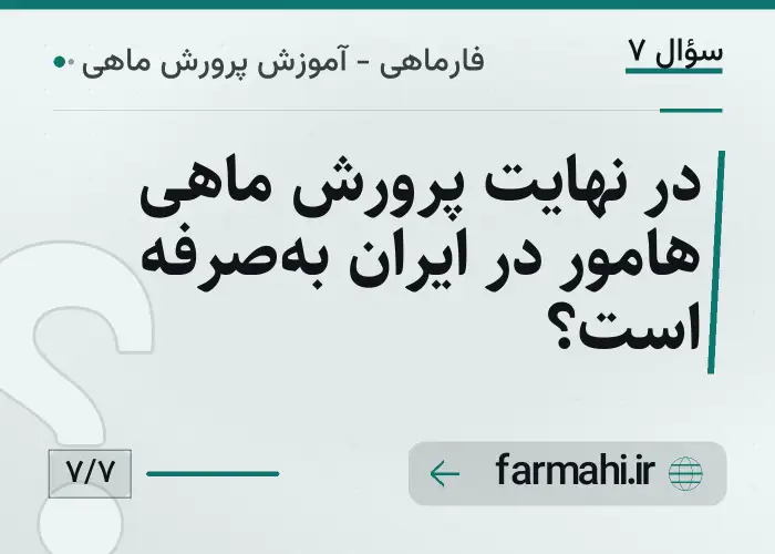 در نهایت پرورش ماهی هامور در ایران به‌صرفه است؟