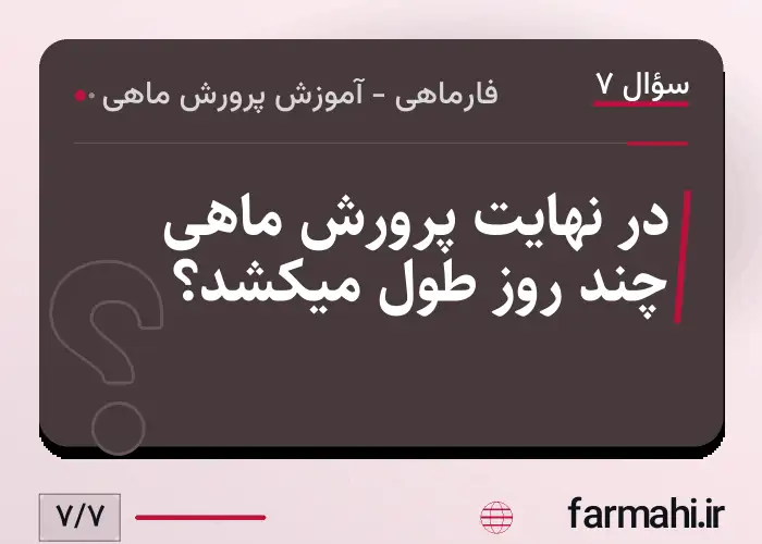 در نهایت پرورش ماهی چند روز طول میکشد؟