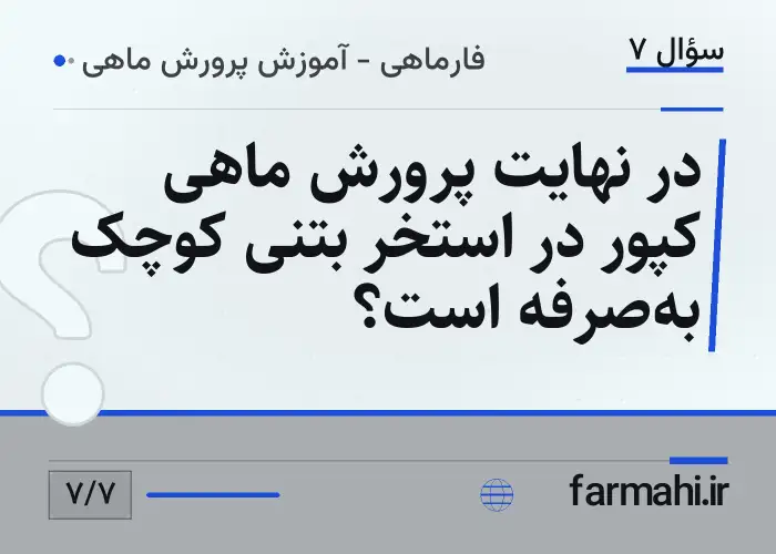 در نهایت پرورش ماهی کپور در استخر بتنی کوچک به‌صرفه است؟
