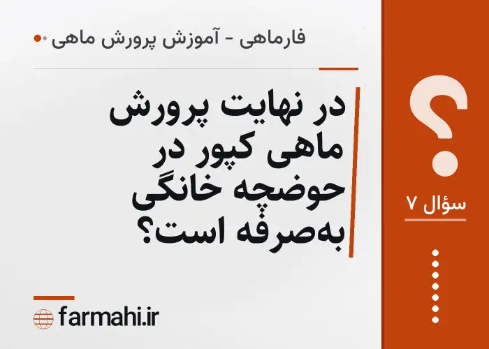 در نهایت پرورش ماهی کپور در حوضچه خانگی به‌صرفه است؟