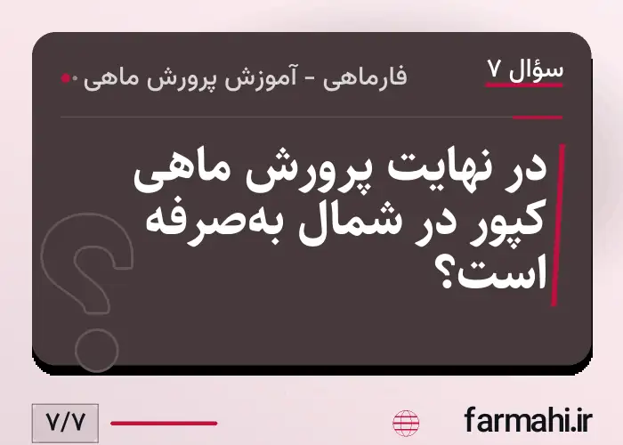در نهایت پرورش ماهی کپور در شمال به‌صرفه است؟