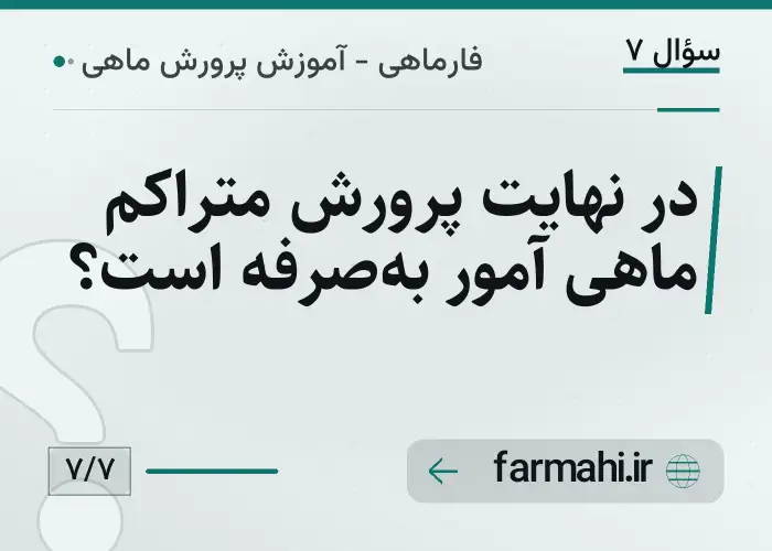 در نهایت پرورش متراکم ماهی آمور به‌صرفه است؟