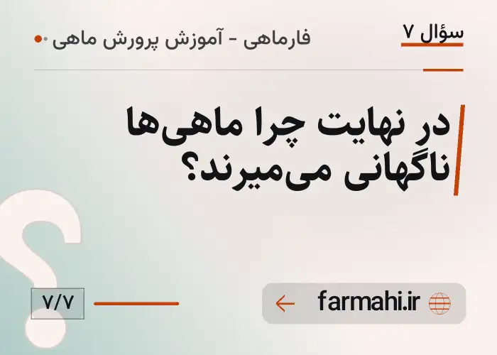 در نهایت چرا ماهی‌ها ناگهانی می‌میرند؟