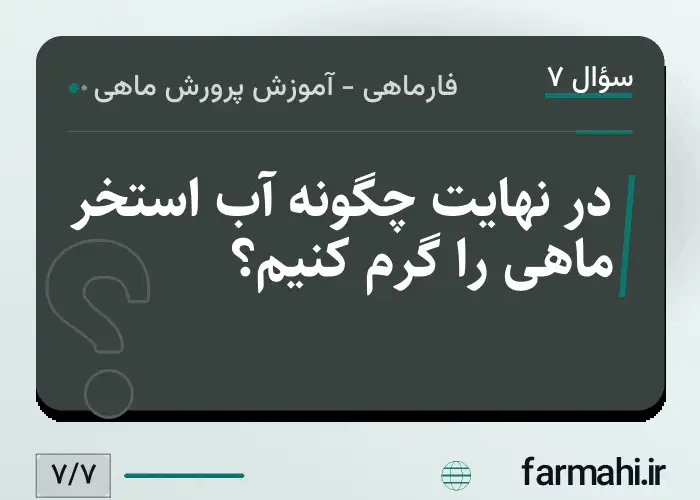 در نهایت چگونه آب استخر ماهی را گرم کنیم؟