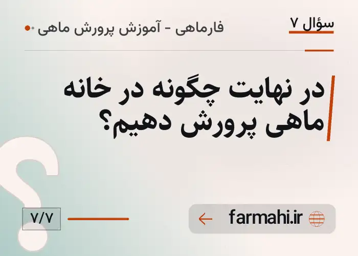 در نهایت چگونه در خانه ماهی پرورش دهیم؟