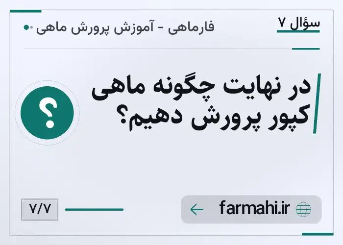 در نهایت چگونه ماهی کپور پرورش دهیم؟