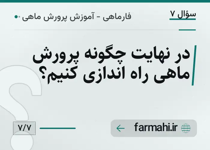 در نهایت چگونه پرورش ماهی راه اندازی کنیم؟
