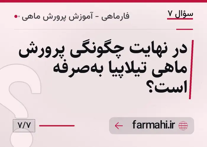 در نهایت چگونگی پرورش ماهی تیلاپیا به‌صرفه است؟