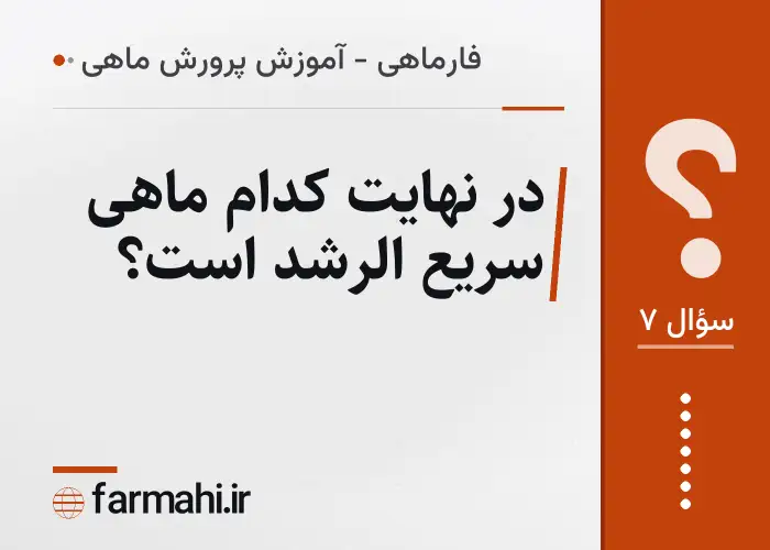 در نهایت کدام ماهی سریع الرشد است؟
