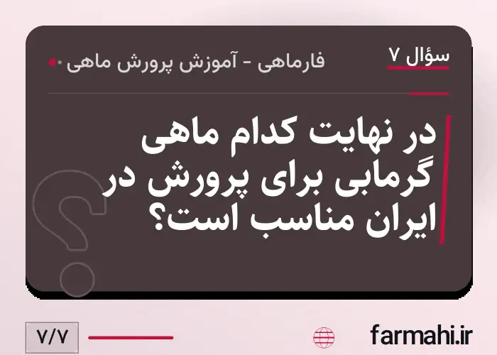 در نهایت کدام ماهی گرمابی برای پرورش در ایران مناسب است؟