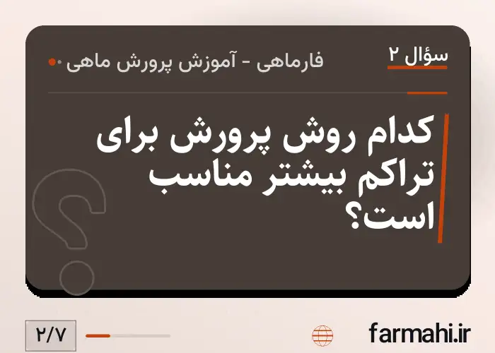 کدام روش پرورش برای تراکم بیشتر مناسب است؟