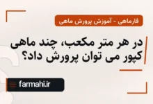 در هر متر مکعب، چند ماهی کپور می توان پرورش داد؟