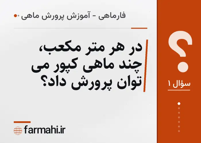 در هر متر مکعب، چند ماهی کپور می توان پرورش داد؟