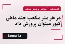 در هر متر مکعب چند ماهی کپور میتوان پرورش داد