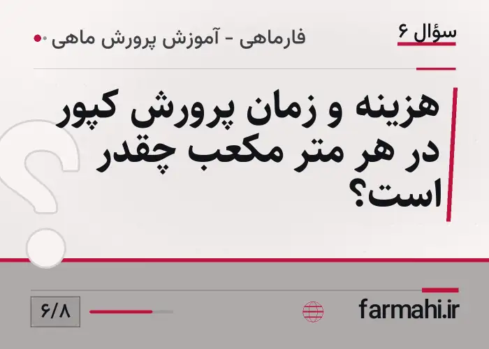 هزینه و زمان پرورش کپور در هر متر مکعب چقدر است؟
