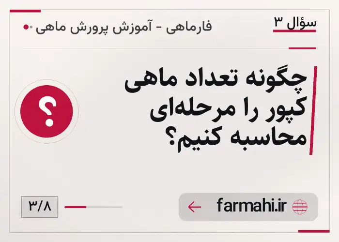 چگونه تعداد ماهی کپور را مرحله‌ای محاسبه کنیم؟