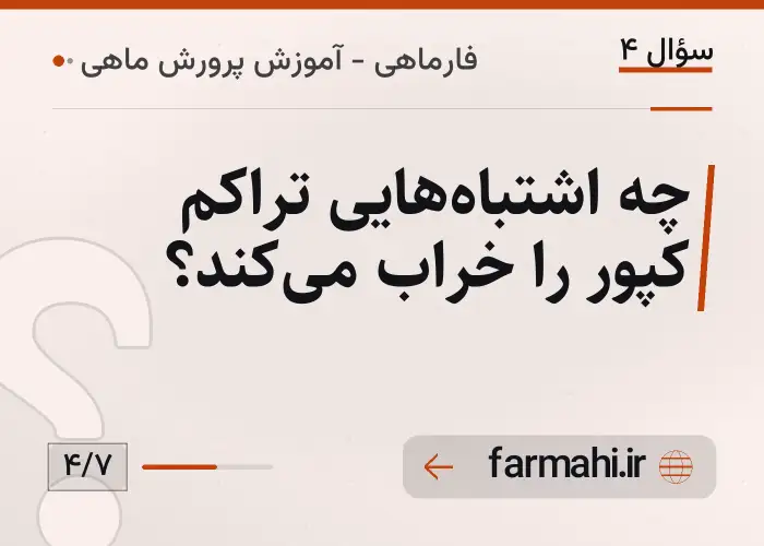 چه اشتباه‌هایی تراکم کپور را خراب می‌کند؟