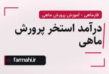 درآمد استخر پرورش ماهی