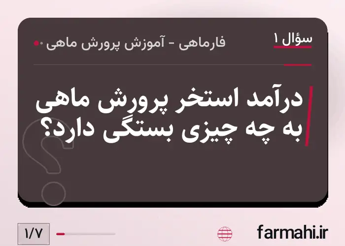 درآمد استخر پرورش ماهی به چه چیزی بستگی دارد؟