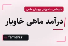 درآمد ماهی خاویار