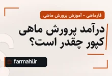 درآمد پرورش ماهی کپور چقدر است؟