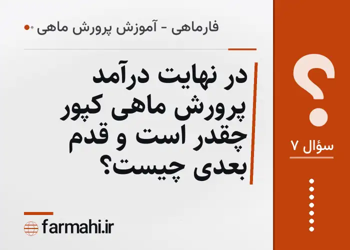 در نهایت درآمد پرورش ماهی کپور چقدر است و قدم بعدی چیست؟