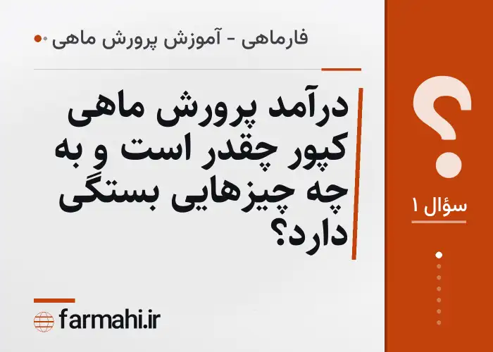 درآمد پرورش ماهی کپور چقدر است و به چه چیزهایی بستگی دارد؟