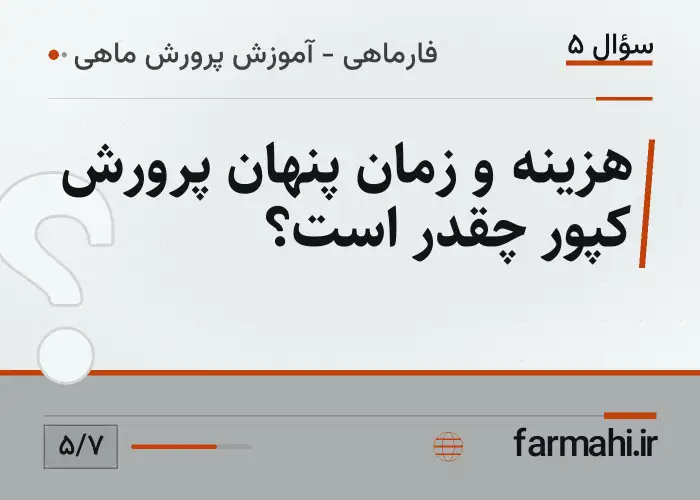 هزینه و زمان پنهان پرورش کپور چقدر است؟