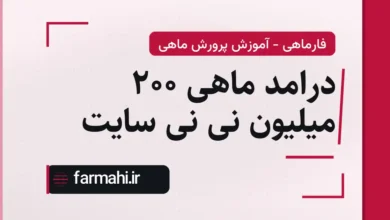 درامد ماهی 200 میلیون نی نی سایت
