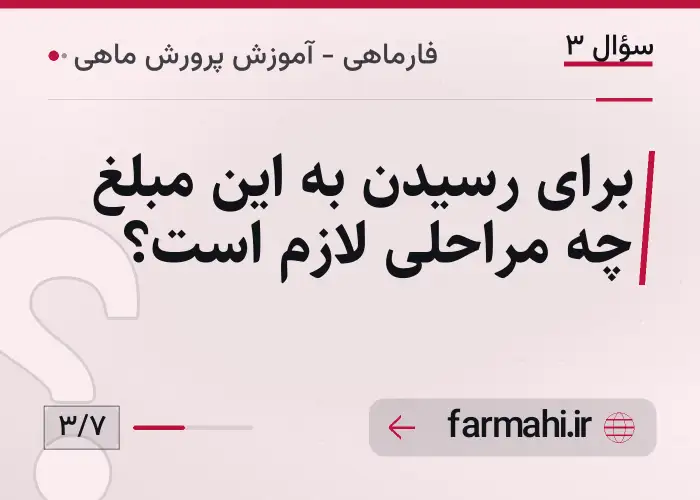 برای رسیدن به این مبلغ چه مراحلی لازم است؟