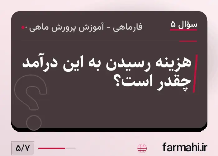 هزینه رسیدن به این درآمد چقدر است؟