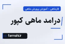 درامد ماهی کپور
