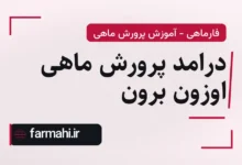 درامد پرورش ماهی اوزون برون