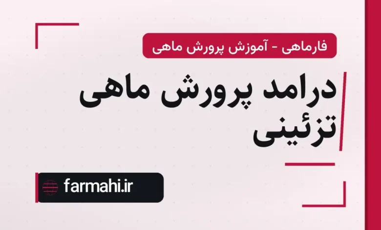 درامد پرورش ماهی تزئینی
