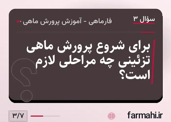 برای شروع پرورش ماهی تزئینی چه مراحلی لازم است؟