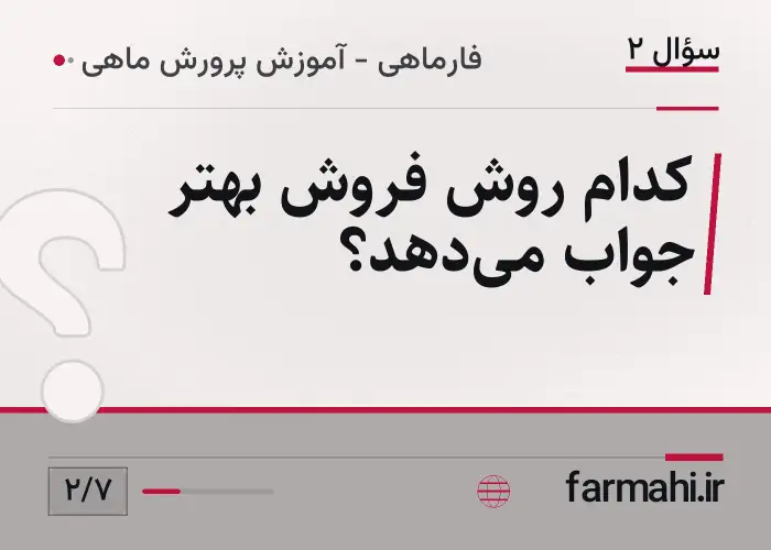 کدام روش فروش بهتر جواب می‌دهد؟
