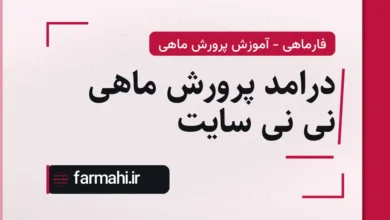 درامد پرورش ماهی نی نی سایت