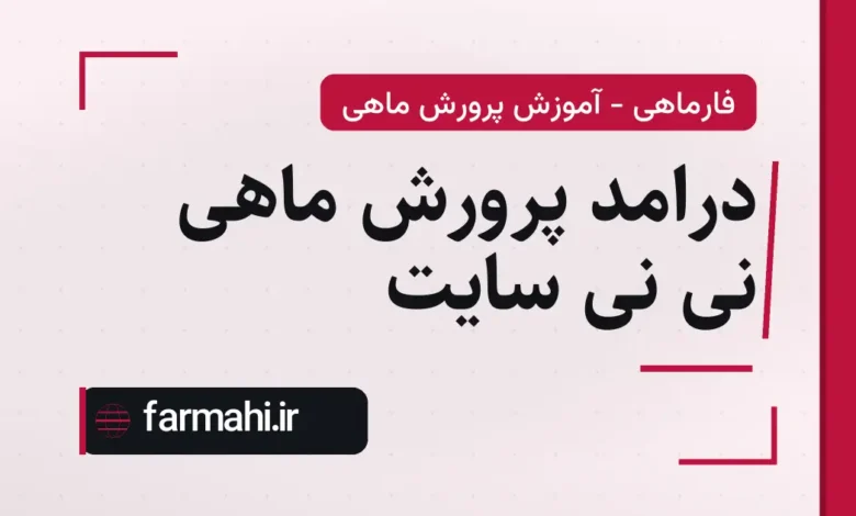 درامد پرورش ماهی نی نی سایت