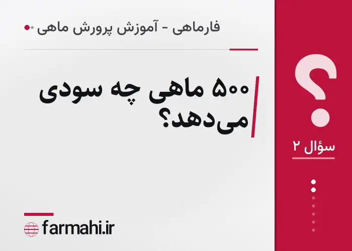 ۵۰۰ ماهی چه سودی می‌دهد؟