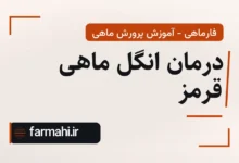 درمان انگل ماهی قرمز