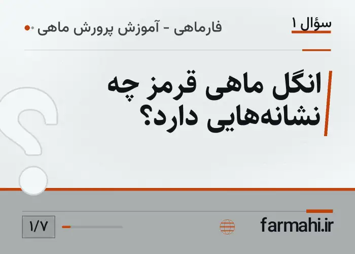انگل ماهی قرمز چه نشانه‌هایی دارد؟