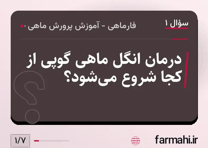 درمان انگل ماهی گوپی از کجا شروع می‌شود؟