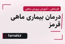 درمان بیماری ماهی قرمز