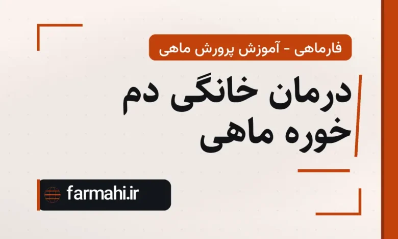 درمان خانگی دم خوره ماهی